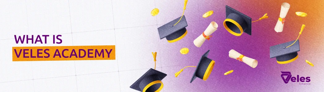 What is Veles Academy