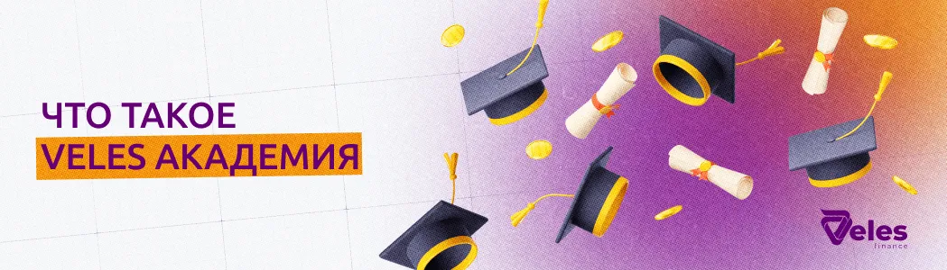 Что такое Veles Академия