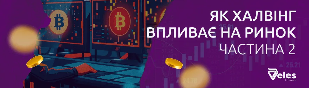 How halving affects the price