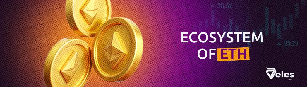 What Is the Ethereum Ecosystem?