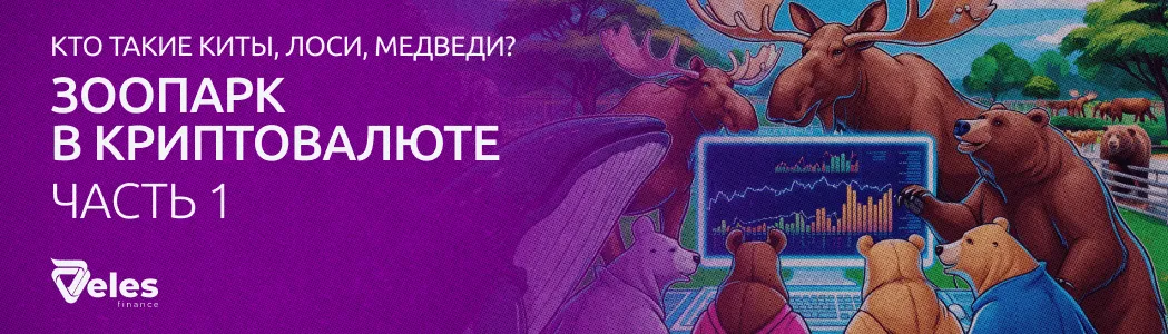 Часть 1: Кто такие киты, лоси, медведи? Зоопарк в криптовалюте