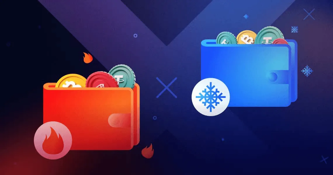 Hot vs Cold Wallets