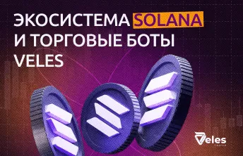 Экосистема Solana и торговые боты Veles
