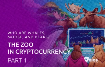 Part 1: Who are whales, moose, and bears? A zoo in cryptocurrency