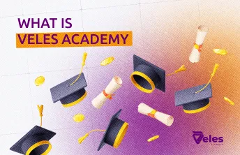 What is Veles Academy