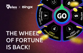 The wheel of fortune returns: Veles × BingX