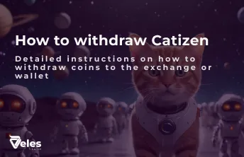 Catizen (CATI) - how to withdraw tokens to an exchange or wallet
