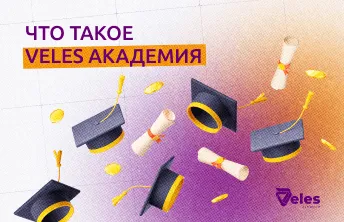 Что такое Veles Академия