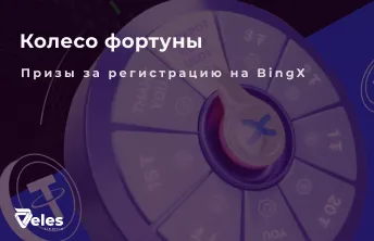 Колесо фортуны на BingX с Veles!