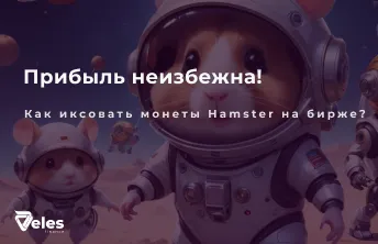 Hamster Combat - стратегия заработка на криптовалютных биржах
