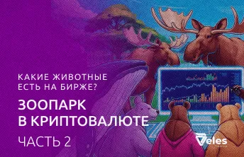 Часть 2: Какие животные есть на бирже? Зоопарк в криптовалюте