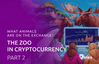 Part 2: What animals are found on the exchange? A zoo in cryptocurrency