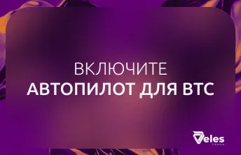 Обзор торгового бота Veles для Bitcoin: автоматизация торговли BTC