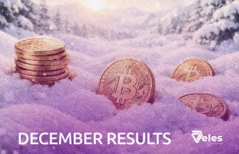 December 2025 | Monthly results with Veles