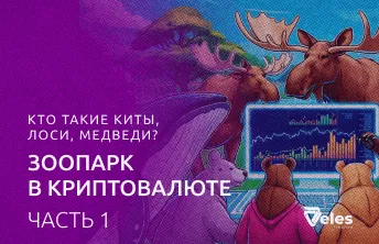 Часть 1: Кто такие киты, лоси, медведи? Зоопарк в криптовалюте