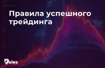 Рассказываем как себя вести, чтобы заработать с Veles