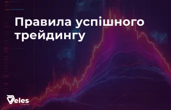 Розповідаємо як поводитися, щоб заробити з Veles