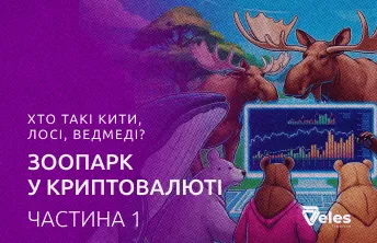 Частина 1: Хто такі кити, лосі, ведмеді? Зоопарк у криптовалюті