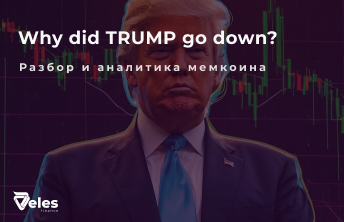 Dynamics of the $TRUMP memecoin - the rapid rise and fall of the Trump coin